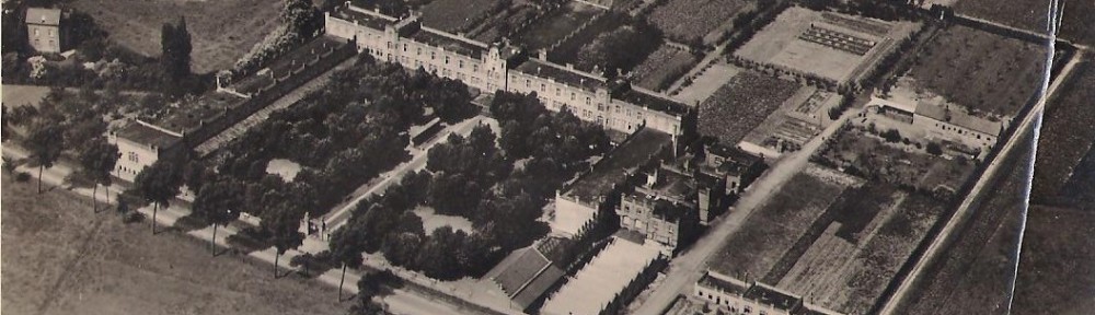 Blog Image